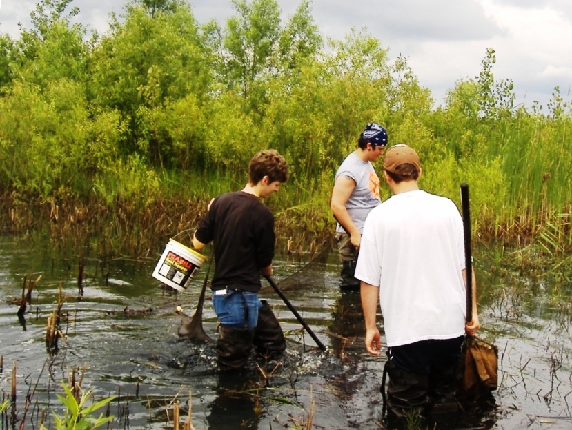 Wetland sampling.2