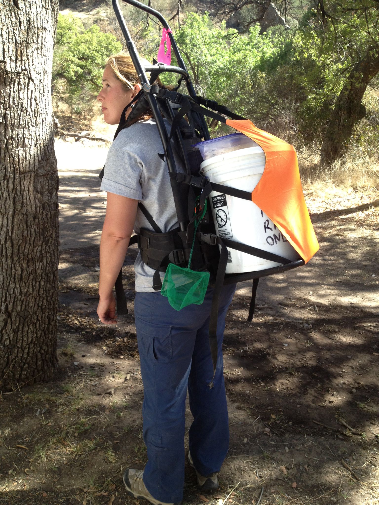Abi King carrying Tarahumara tadpoles and frogs