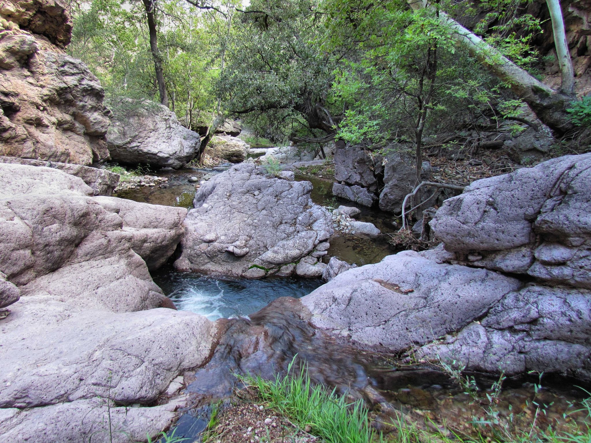Middle reach of Big Casa Blanca Canyon