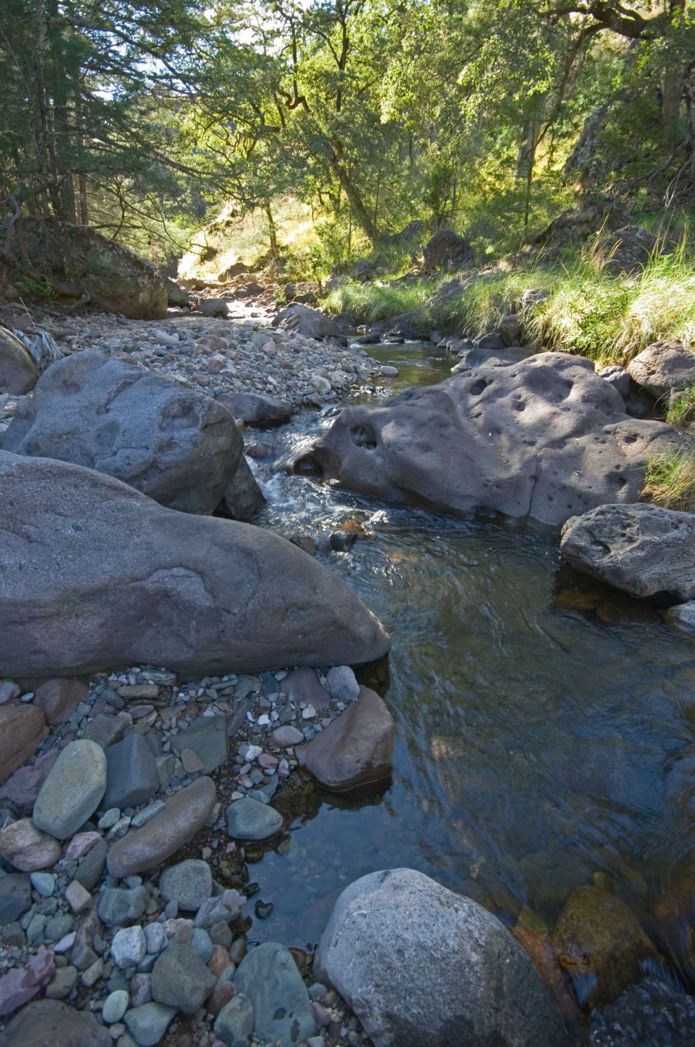Rancho El Trigo Sierra Madre Occidental Sonora Mexico