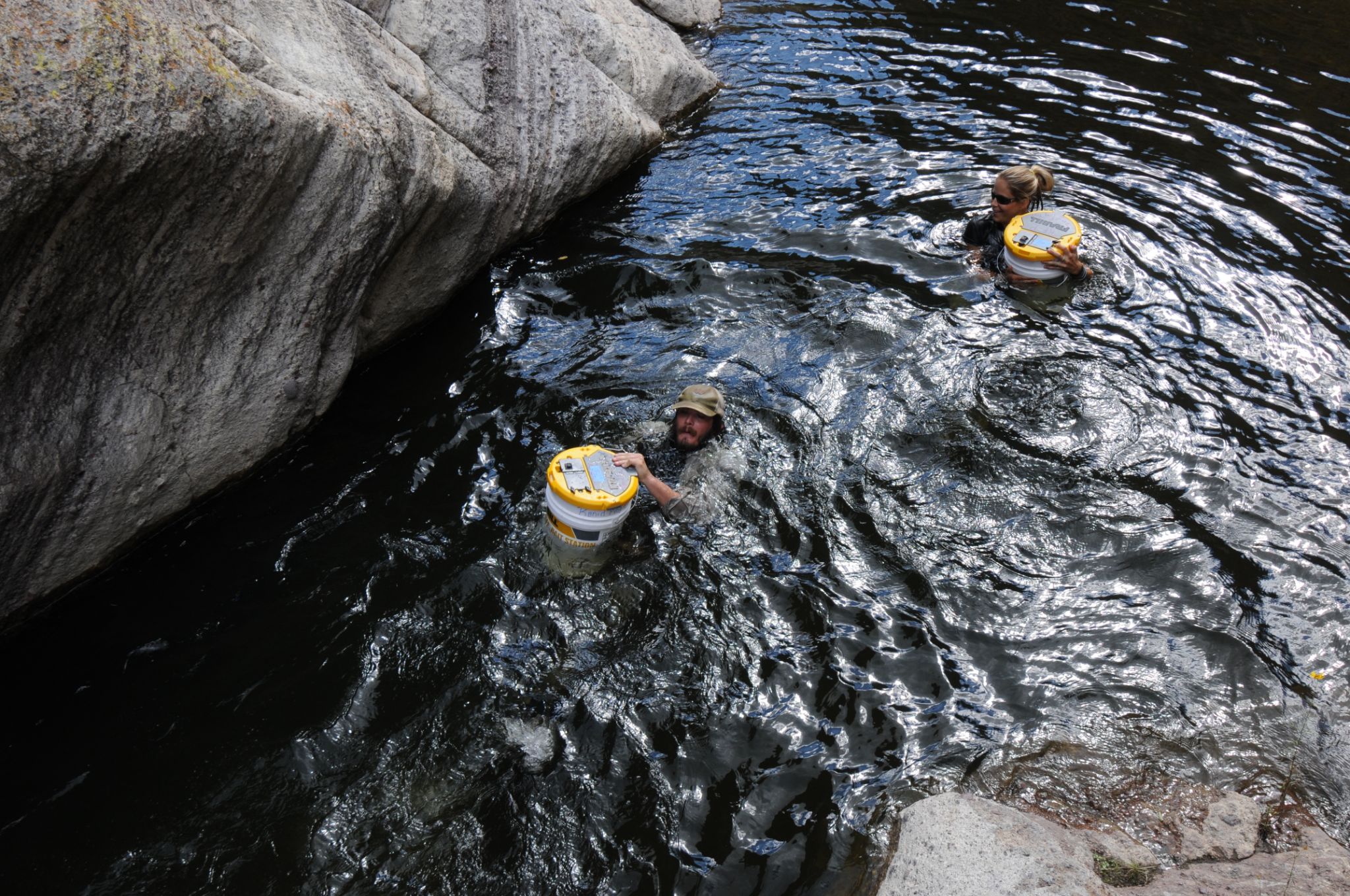 Swimming with buckets of tadpoles in Sycamore Canyon narrows