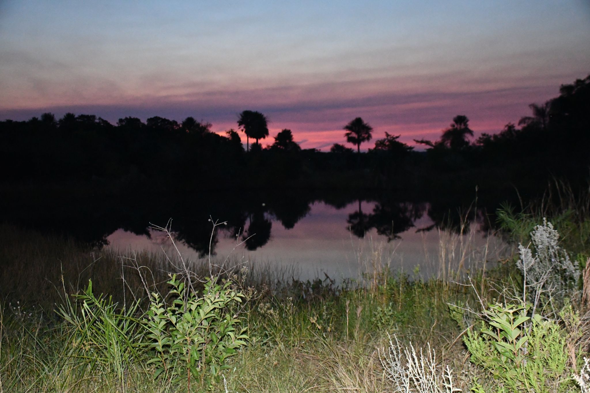 Wetlands Ypoa Complex