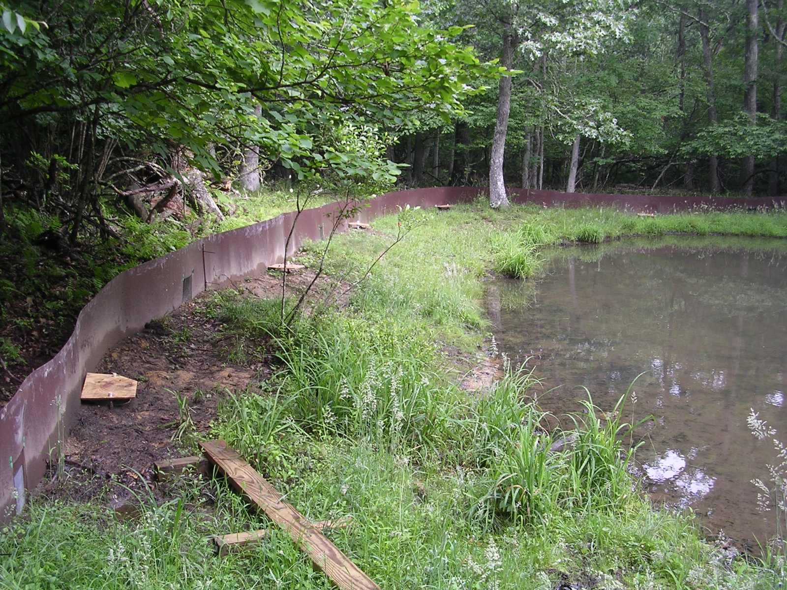 Drift fence at Sylvatica Pond   Grayson