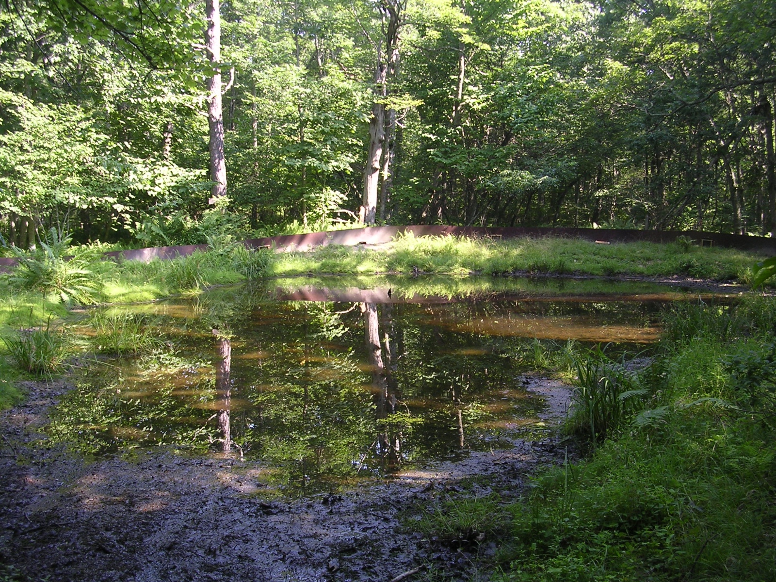 Horton Pond MLBS   Grayson