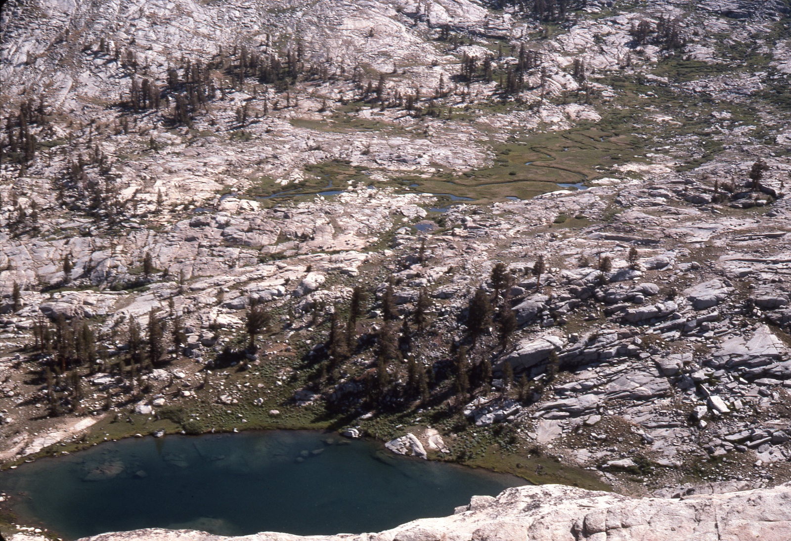 Frog Lake (lower left) and Table Meadow (upper right)