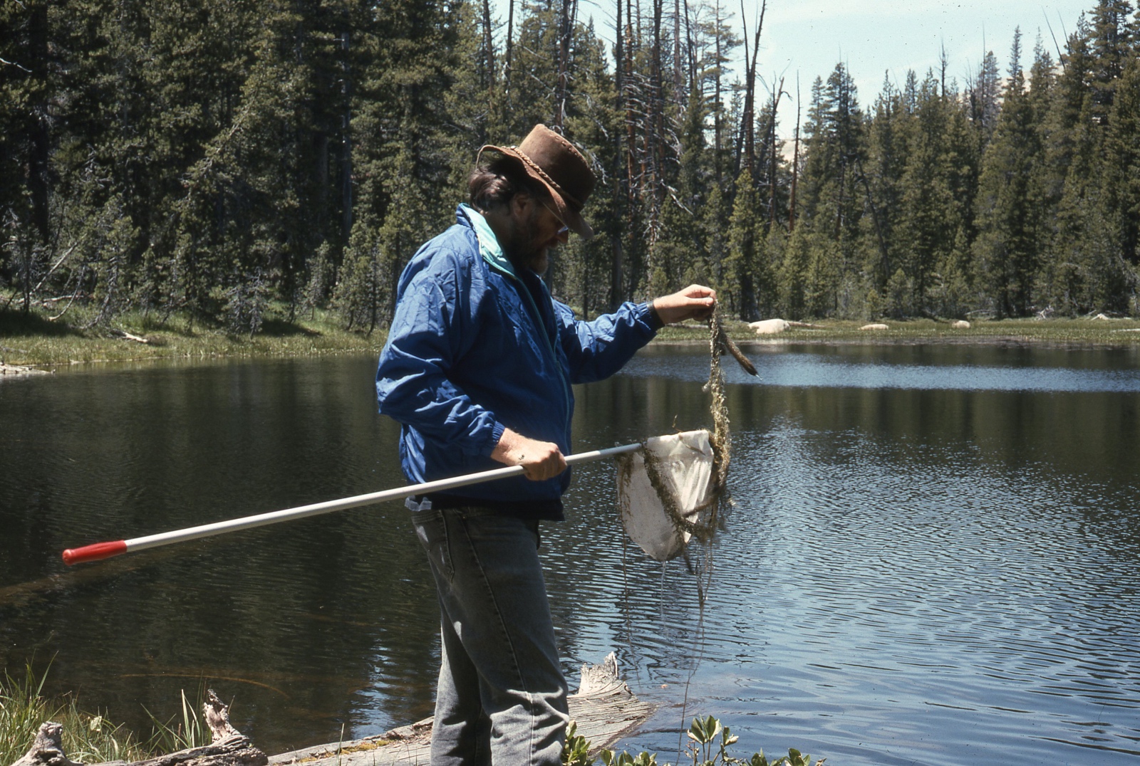 Gary Fellers surveying for tadpoles