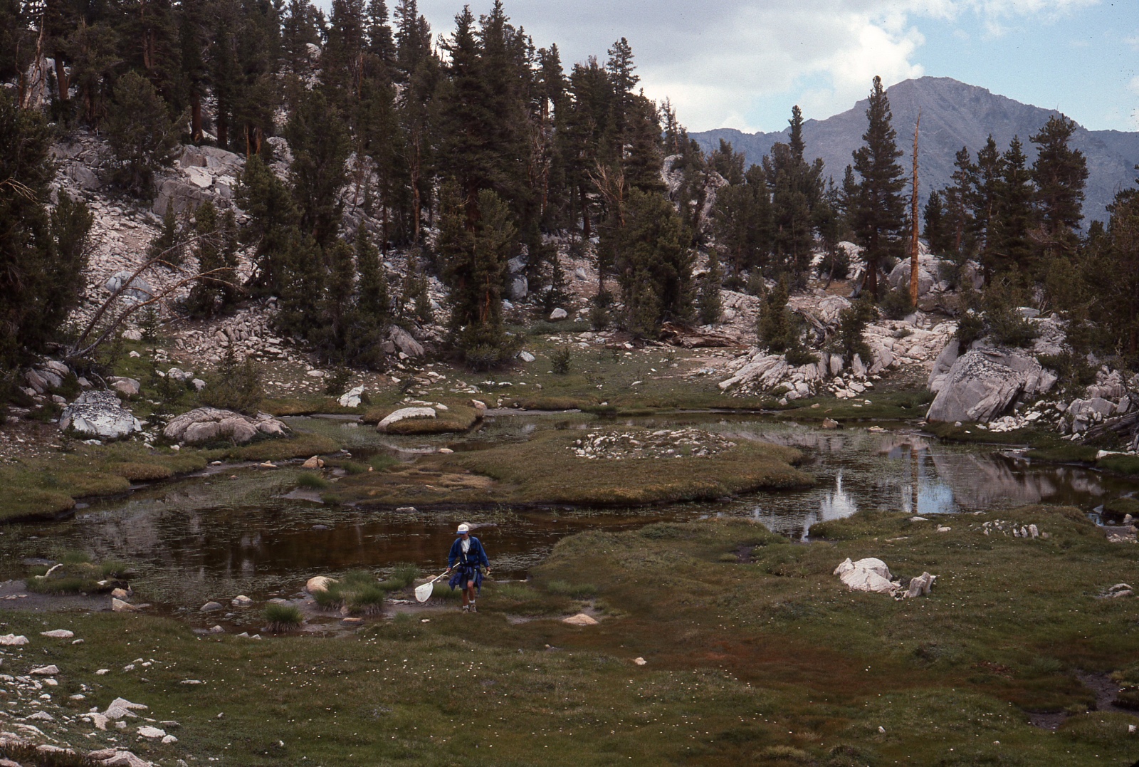 Sixty Lakes Basin donor site C