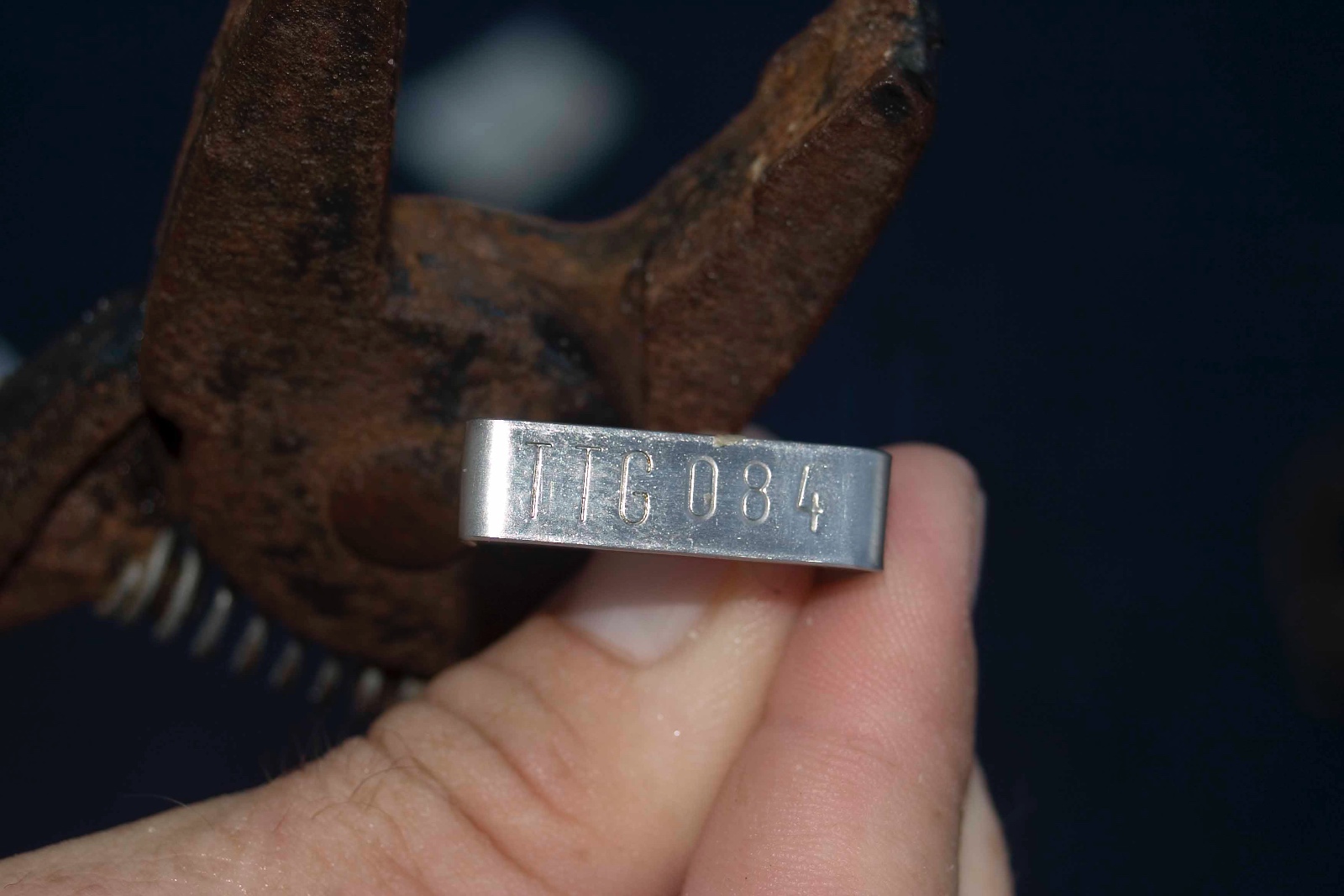 Eretmochelys imbricata inconel Jim Abernethy tag