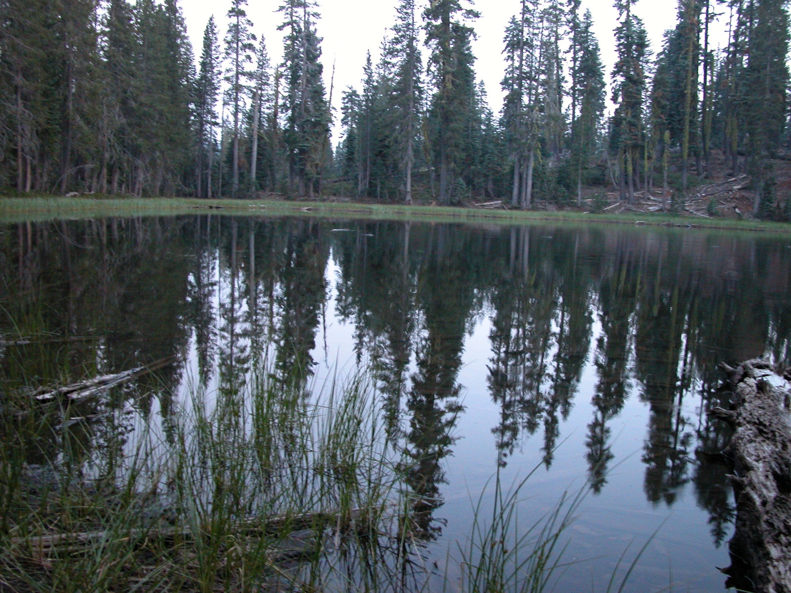 Pond SW Juniper Lake