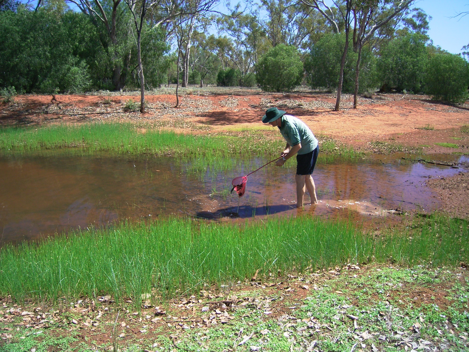 TemporarypoolwesternNSW