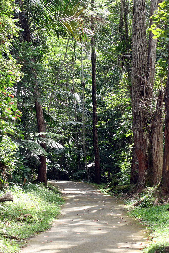 Barker Rios Franceschi 14