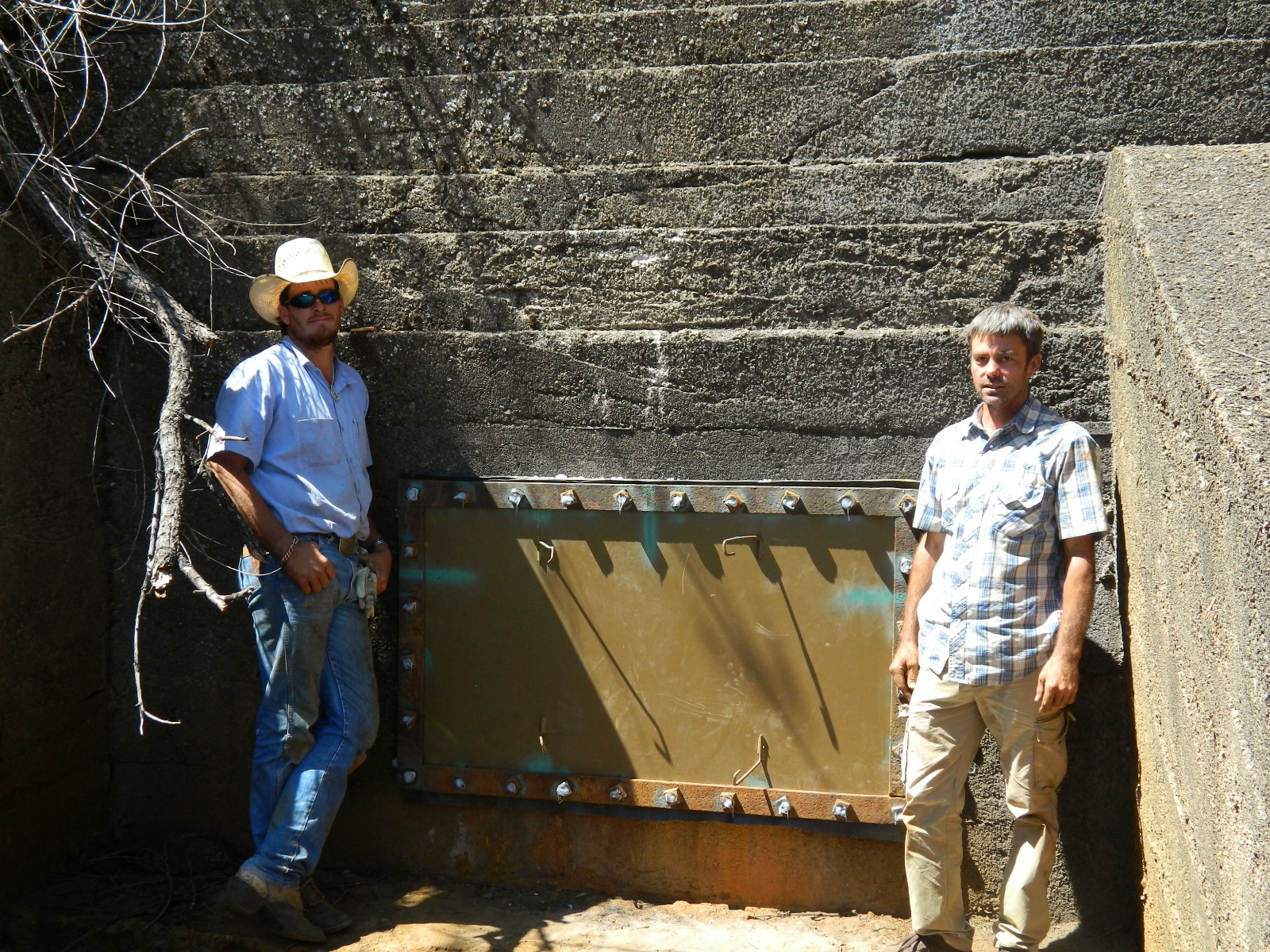 Stone 3 plate replacement